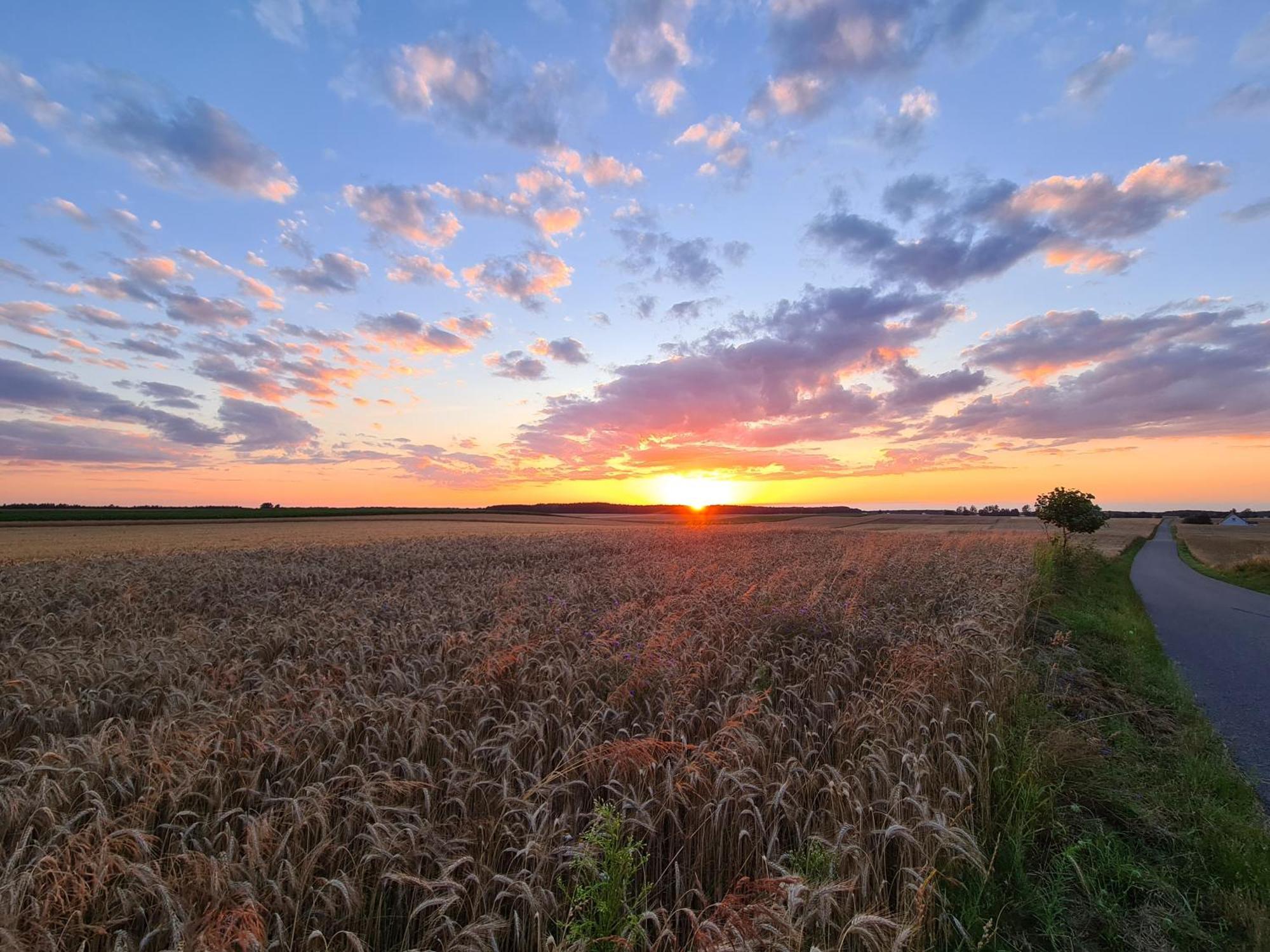 Agroturystyka Wrecza Farm stay