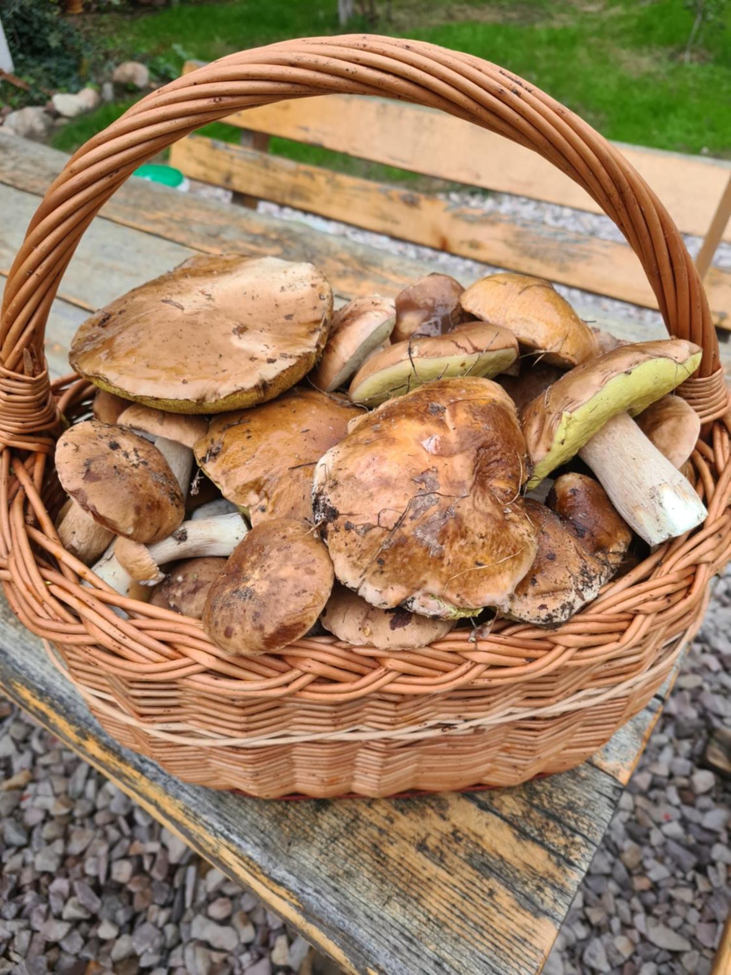 Feriegårder Agroturystyka Wrecza Wrecza