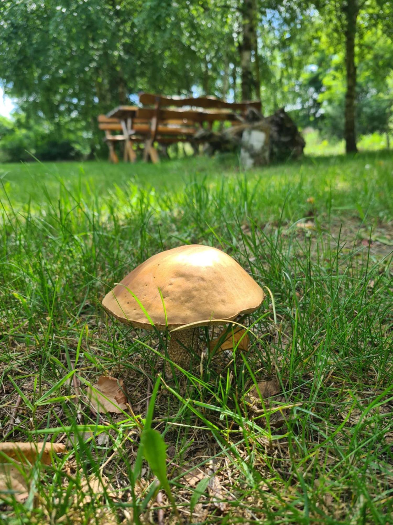 Farm stay Agroturystyka Wrecza Wrecza