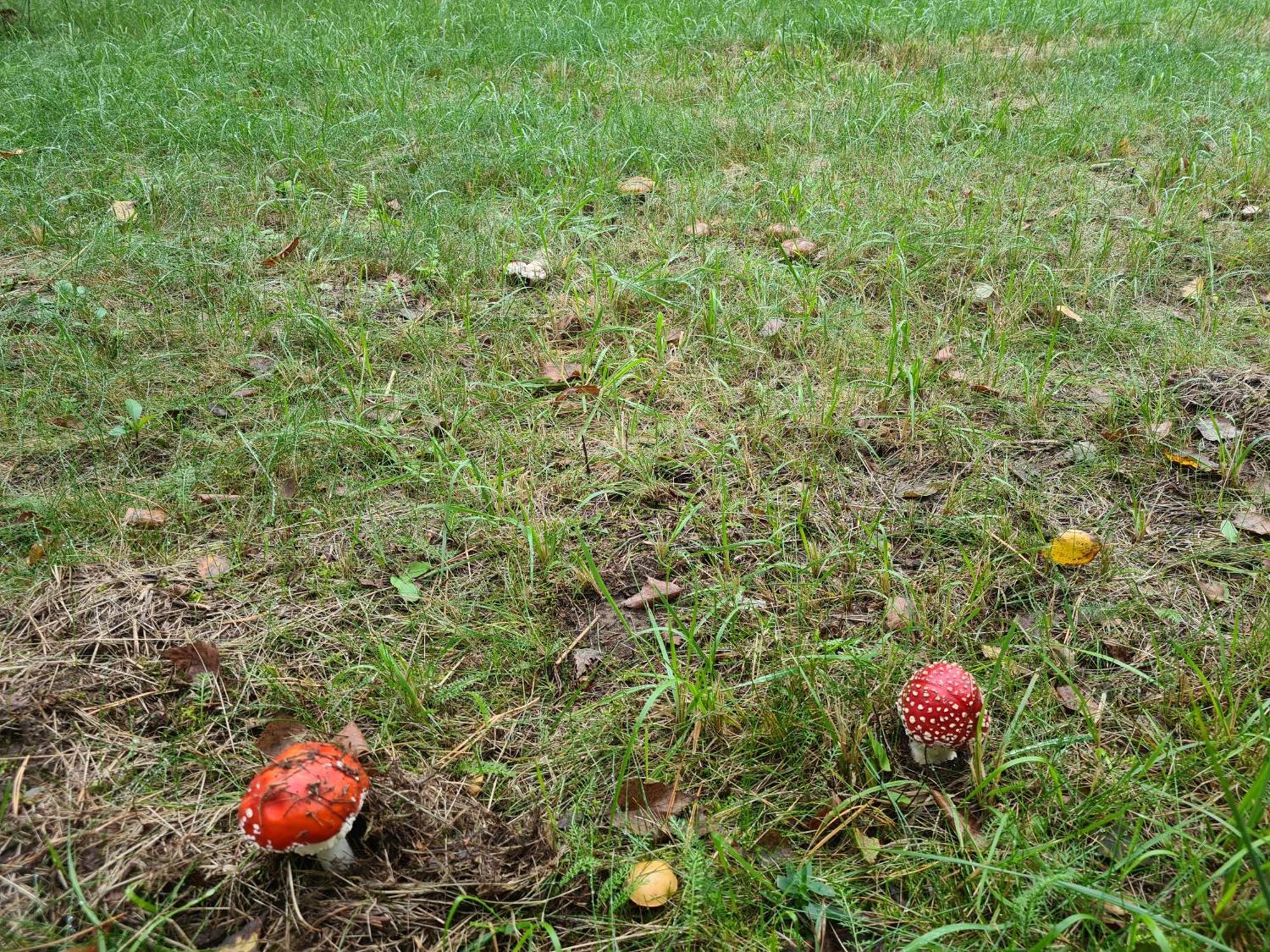 Farm stay Agroturystyka Wrecza